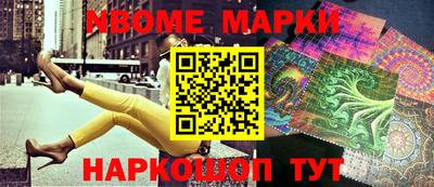 стафф Кингисепп