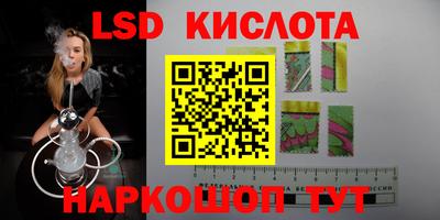 стафф Кингисепп