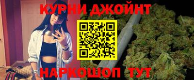 стафф Кингисепп
