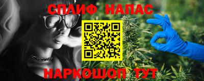 стафф Кингисепп