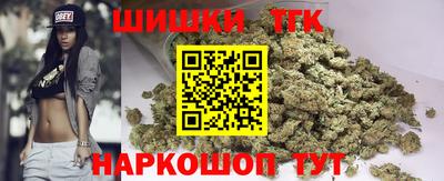 стафф Кингисепп