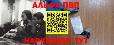 стафф Кингисепп