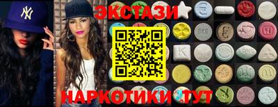 стафф Кингисепп