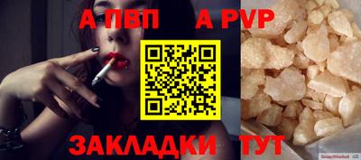 стафф Кингисепп